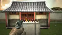 Bottle Shooting Gun Master Freegame Screen Shot 5