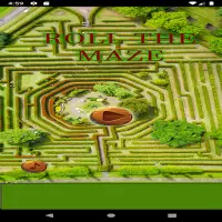 roll the maze Screen Shot 0