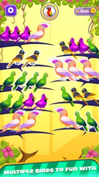 Color Bird Sort Puzzle Games Screen Shot 1