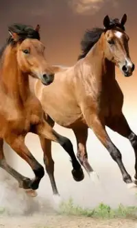 Game Horse Puzzle Gratis Screen Shot 1