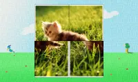 Baby Animals Puzzle Screen Shot 0