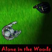 Alone in the Woods