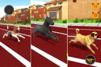 Dog Simulator 2021: Offline Puppy Pet Dog Games Screen Shot 11