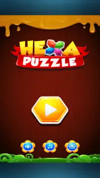 Block Puzzle Hexa Puzzle Game Screen Shot 0