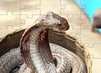 Cobra Jigsaw Puzzles 🧩🐍️🧩🐍🧩 Screen Shot 7