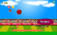 Cricket Unlimited Screen Shot 6