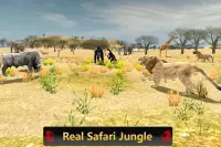 Wild Lion Safari Simulator 3D: 2020 Season Screen Shot 11