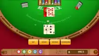 Amazing Blackjack Screen Shot 1