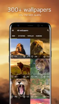 Lion Wallpapers 4K Screen Shot 0