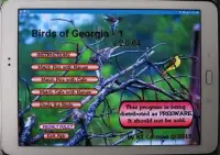 Birds of Georgia - 1 Screen Shot 6