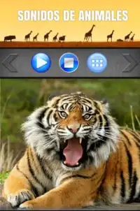 Sonidos de Animales Screen Shot 2