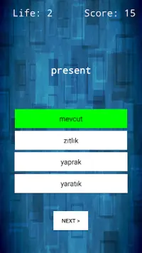 English - Turkish Word Quiz Screen Shot 5