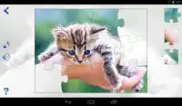 Jigsaw Puzzles Cats Screen Shot 8