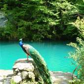 Голубое озеро в Абхазии Игра