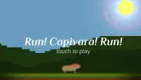 Run Capivara Run Screen Shot 0