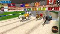 Real Dog Racing Tournament Screen Shot 10