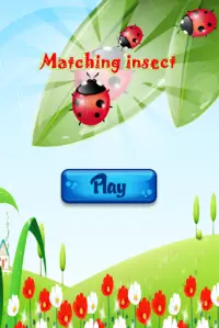 Matching côn trùng Screen Shot 0