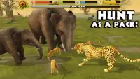 Cheetah Simulator Screen Shot 6