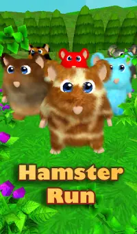 Hamster Dash: 3D Run Screen Shot 4