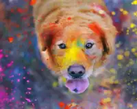 犬のジグソーパズル無料 Screen Shot 4