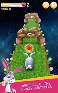 Go Bunny Go Screen Shot 0