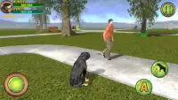 Rottweiler Dog Life Simulator Screen Shot 0