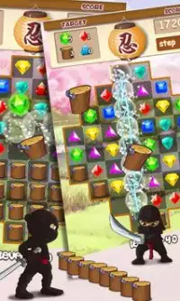 Ninja Jewels Screen Shot 3