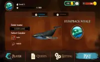 The Humpback Whales Screen Shot 18