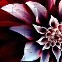 الزهور بانوراما الألغاز ألعاب مجانية 🧩🌼🧩🌺 Screen Shot 3