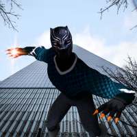 Panther hero fighting 2020- kung fu fighting hero