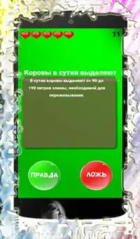 Правда или ложь 500  вопросов Screen Shot 5