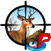 Mountain Deer Hunting 2016