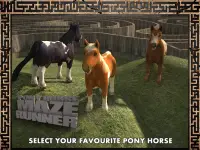 Pony Horse Maze Run Simulator Screen Shot 12