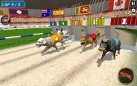 Torneo di corse di cani reali Screen Shot 5