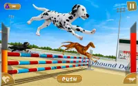 Dog real Racing  Derby Tournament: Dog Race Game Screen Shot 0