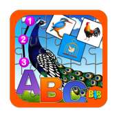 Birds Puzzles for Kids