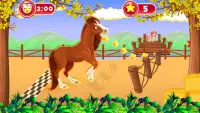 Pengurus ladang kuda: solekan & penjagaan harian u Screen Shot 1