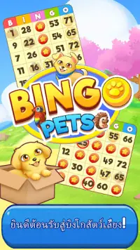 Bingo:  Free the Pets Screen Shot 0