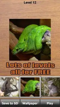 Zoo Animal Puzzle (FREE) Screen Shot 3