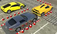 Estacionamiento de coches de doble espada real Screen Shot 3