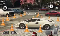 Dr.Parker Hard Parking Car Simulator 3D Screen Shot 1