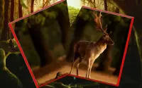 Deer hunting 2017 Screen Shot 3