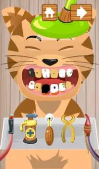Dentist Cats Screen Shot 2