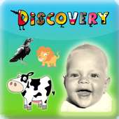 Kids Discovery - Moo caja