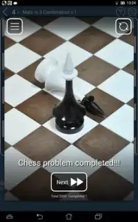 Chess? OK! Screen Shot 12
