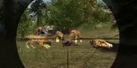 Jungle Sniper Hunter Simulator Screen Shot 7