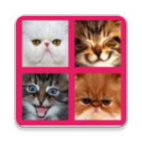 2048 Cute Cats