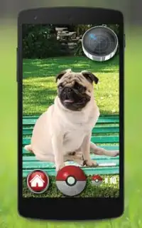 Pocket Puppy cani GO! Screen Shot 1