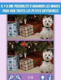 Trouver différences : Animaux Screen Shot 3