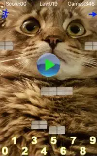 Taquitoゲム-数学のボールの猫の子供の無料の教育ゲーム Screen Shot 3